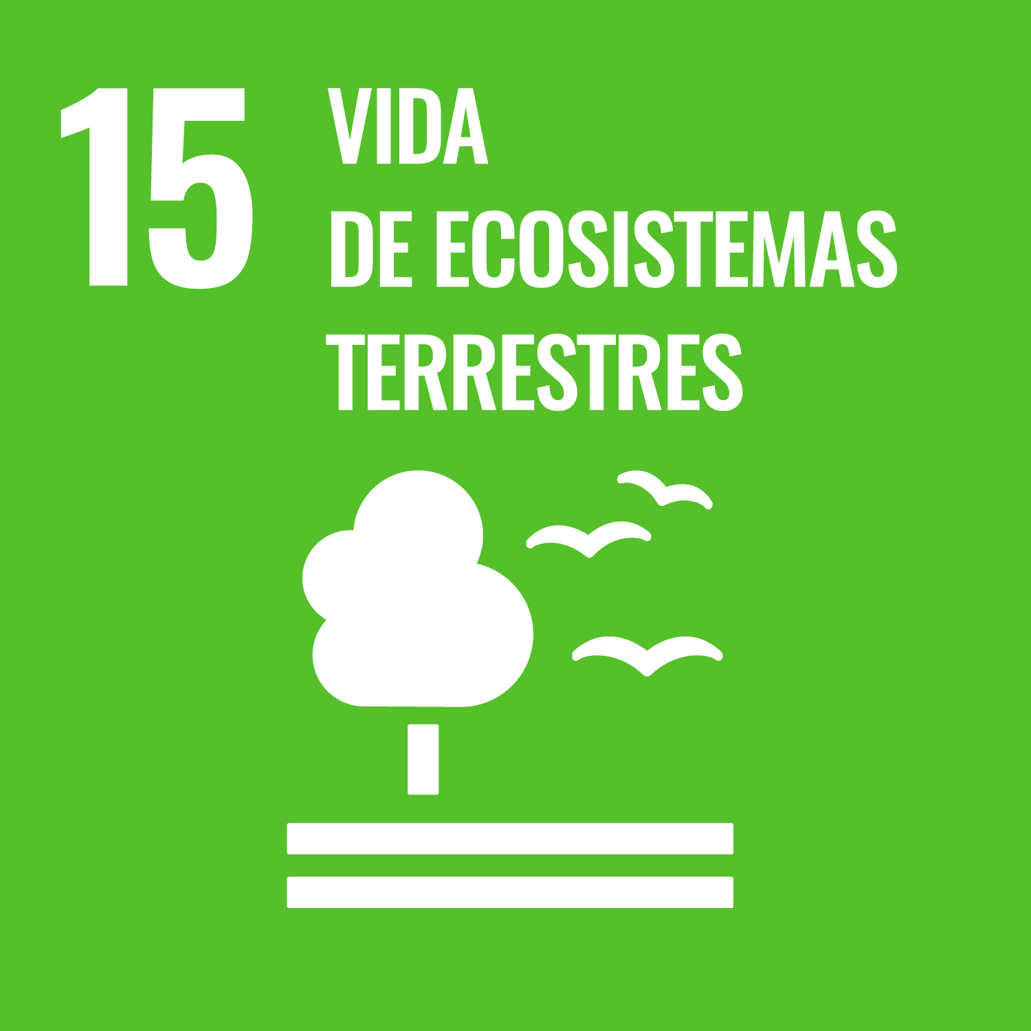 Vida de ecosistema terrestres