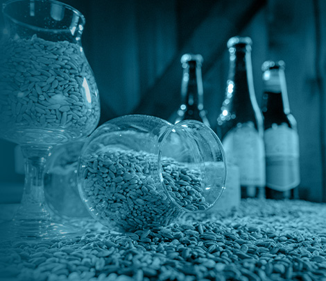 Elementos para la elaboración de cerveza casera Elementos para la elaboración de cerveza casera