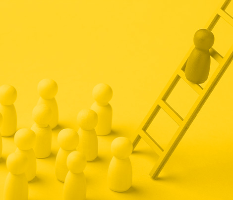 Liderazgo y gestión para la transformación educativa