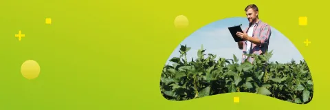 Tecnología en Gestión Sostenible de la Producción Agrícola