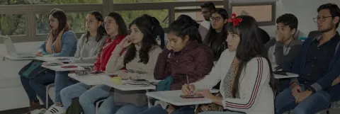 Prueba diagnóstica de inglés