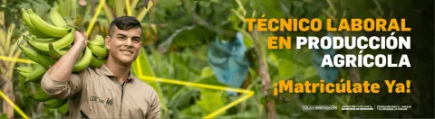 Técnico laboral en producción agrícola