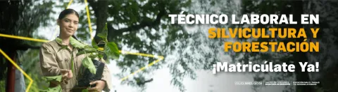 Técnico laboral en silvicultura y forestación