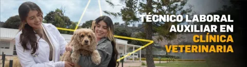 Técnico laboral en auxiliar clínica veterinaria