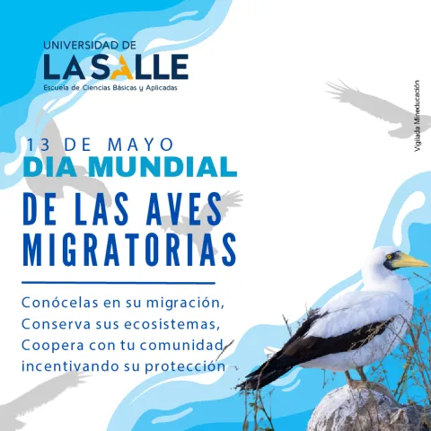 El día mundial de las aves migratorias