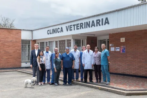 Nuestra Clínica Veterinaria se renueva