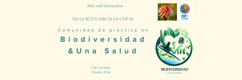 Nace una comunidad de práctica en una salud y biodiversidad en el camino hacia la COP16