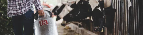 Impacto de la crisis lechera en Colombia