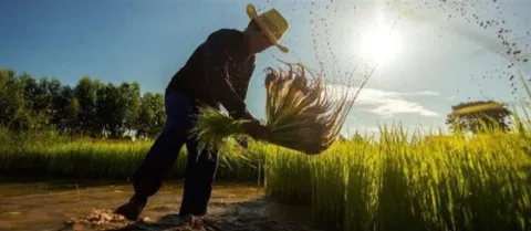 Doctorado en Estudios de Desarrollo y Territorio