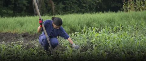 Docente Lasallista dedica su vida a enseñar sobre economía solidaria