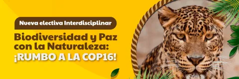 Lanzamiento de la Cátedra Paz con la Naturaleza y su Electiva Inaugural