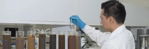 Líneas de Investigación