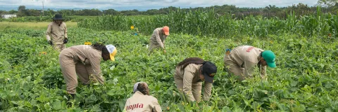 Un nuevo logro para el proyecto Utopía
