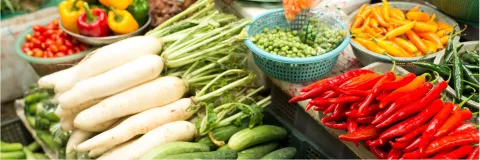 “La industria de alimentos debe tener negocios sustentables”