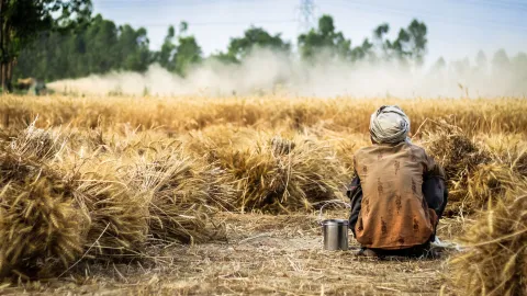 ¿Sabía que los pesticidas afectan la salud general incluida la visión?