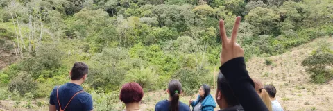 Listado estudiantes postulados a comités de programas