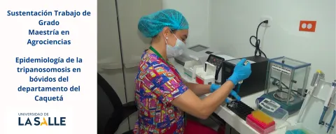 Agrociencias (Tesis Maestría Tripanosomiasis Departamento del Caquetá)