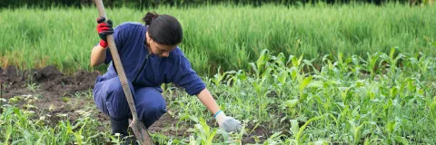 El sector rural es nuestra prioridad