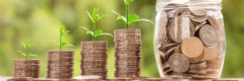Agronegocios: apuestas innovadoras en el campo
