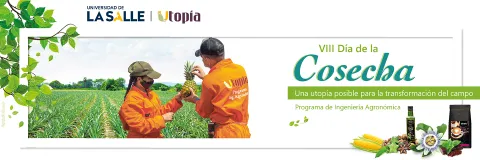 Así será el Día de La Cosecha