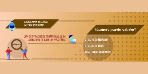 Todo lo que debes saber para validar una electiva interdisciplinar