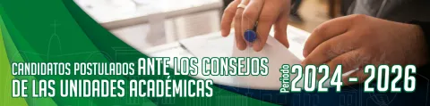 Profesores postulados ante los consejos de las unidades académicas 2024-2026