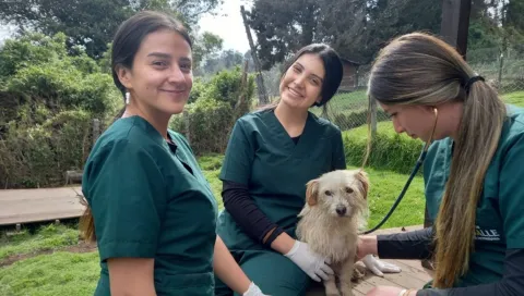 Estudiantes de Medicina Veterinaria de La Salle Participan en Jornada de Bienestar Animal