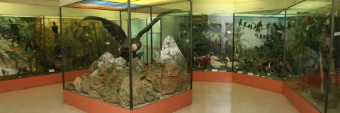 ¡Vive la nueva experiencia interactiva del Museo de La Salle!