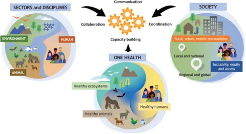 La Asociación Mundial de Veterinaria publica un nuevo posicionamiento sobre One Health
