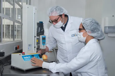 Conoce el primer semillero de investigación lasallista en Sabana Occidente