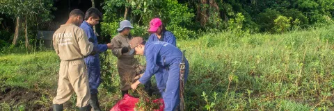 Investigación lasallista ahonda sobre los procesos de creación de conocimiento en regiones