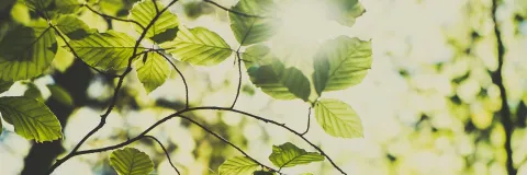 Unisalle llega a Chocó con proyecto de producción sostenible