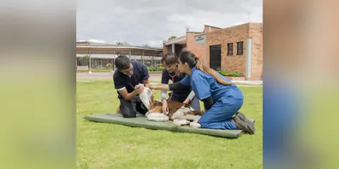 Renovación de la Acreditación de Alta Calidad del Programa de Medicina Veterinaria