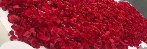 Uso de flores, semillas y cáscaras en la industria alimentaria