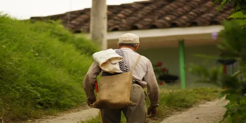 Derechos de los campesinos
