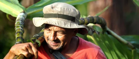 El capital básico para el desarrollo agrícola y la reforma rural: hacia una nueva institucionalidad rural