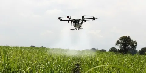Comportamiento sector agropecuario 2022-2024