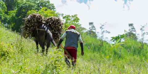Comentarios al borrador CONPES Política para la Transformación Rural Integral.