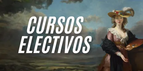 Cursos electivos