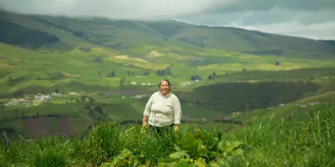 La economía de cara al 2024. El meollo de las expectativas