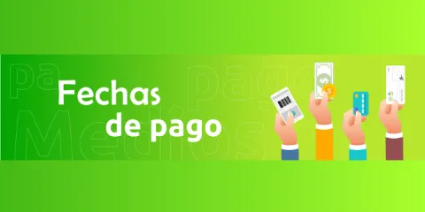Fechas de Pago