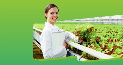 Especialización en Gerencia de Empresas Agropecuarias