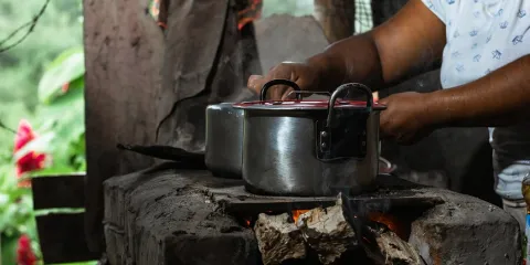 Globalización, transición demográfica y soberanía alimentaria