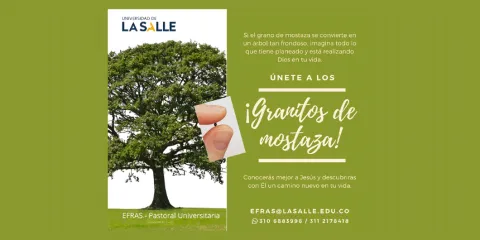 Granitos de mostaza