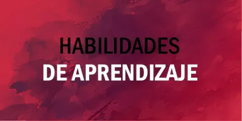 Habilidades para el aprendizaje