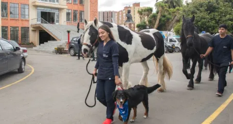 Mujer con uniforme de La Salle con un caballo y un perro