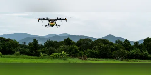 El impacto de la Inteligencia Artificial en las Ciencias Agropecuarias