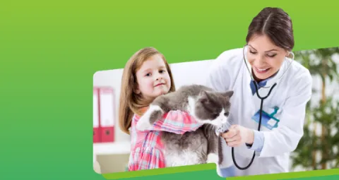 Especialización en Medicina Interna Pequeños Animales