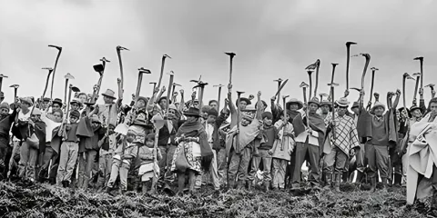 9 Momentos que han marcado la historia de las luchas campesinas en Colombia