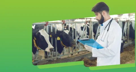 Especialización en Medicina Interna de Grandes Animales